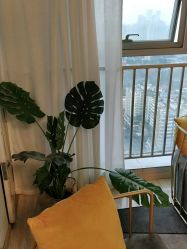 -纹绣阁·纹眉眼唇品牌