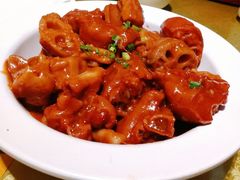 蹄花焖藕-刘胖子家常菜·蹄花焖藕(中南店)