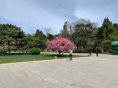 -北京友谊宾馆·俄罗斯餐厅