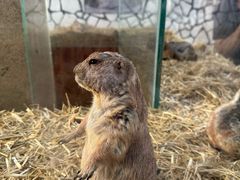 -海合安武汉极地海洋公园