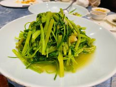 -新光酒家·河豚·海鲜·蟹料理(浦东店)