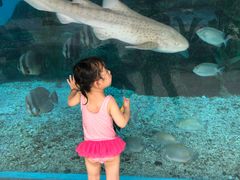 -波塞冬旅游度假区