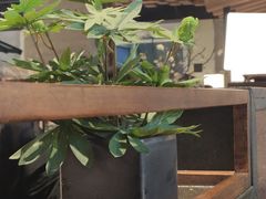 -悟烧·自助烤肉料理(秋林旗舰店)