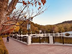 -大连植物园