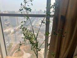 -希希美甲工作室cici-nail