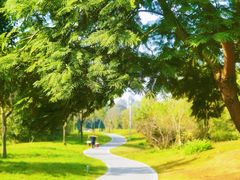 -白鹭湾湿地公园