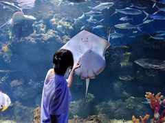 -华夏文旅海洋公园