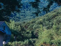 -北仑森林植物园