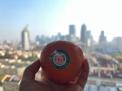 -上海市东方医院(总院)