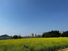 -光明小镇欢乐田园
