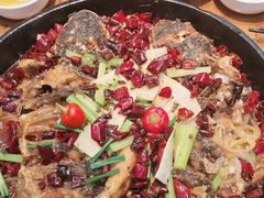 -老板恋上鱼(印象城店)