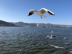 -滇池海埂公园