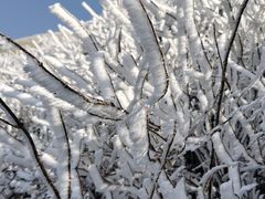 -萍乡武功山风景名胜区