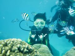 -海南分界洲岛旅游区