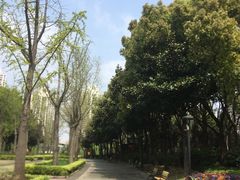 -苏州河梦清园环保主题公园