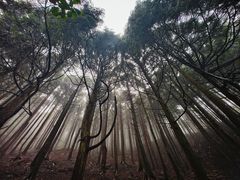 -含鄱口