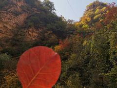 -爱情山风景区