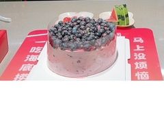 -海底捞火锅(奥森店)