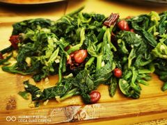 黄河苜蓿菜-衡哥肉铺