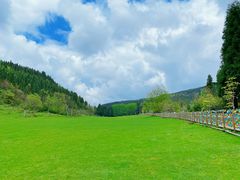 -武陵山森林公园