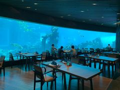 大堂-海棠湾洲际-涛·海底餐厅·美人鱼·自助餐·海底隧道