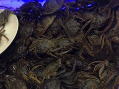 -集品鲜湾·蒸汽海鲜自助料理(青岛银座和谐广场店)