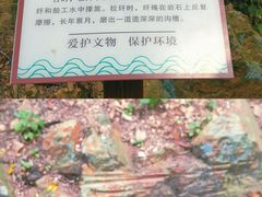 -羚羊峡古栈道森林公园