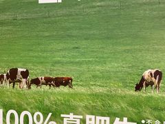 -LuOne凯德晶萃广场(徐家汇路店)