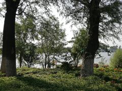 -长春北湖公园