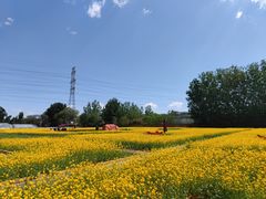 -北京上庄水库尚野露天户外自助烧烤