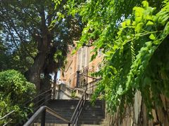 -上海佘山国家森林公园西佘山园