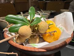 -季季山·云南野生菌火锅(上海首店)