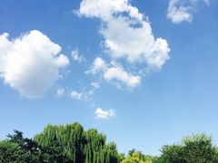 -天津图书馆(复康路馆)