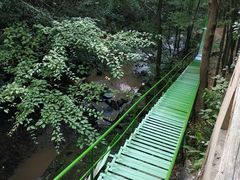 -藏龙百瀑风景区