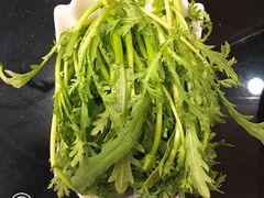 -蝎王府羊蝎子(西直门店)