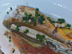 -舌尖上·霞浦滩涂海鲜·新闽菜(总店)