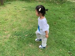 -田园东方蜜桃村的田野营地