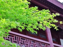 -堤角公园