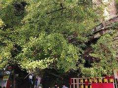 -大慈岩风景区