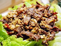 孜然羊肉-汉城馆·烤肉火锅餐厅·韩国烤肉(河北云瑧世纪大饭店)