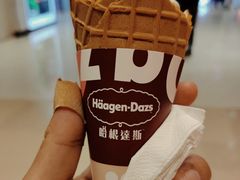 -哈根达斯(石家庄北国店)