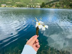 -丽江泸沽湖景区