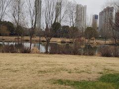 -长广溪湿地公园