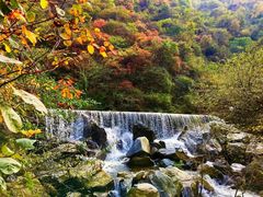 -少华山国家森林公园