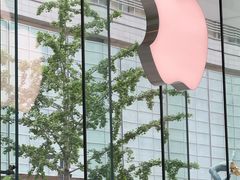 -Apple零售店(华贸购物中心店)