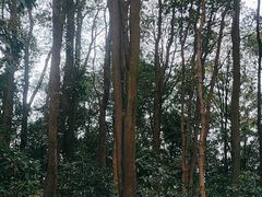 -广州市白云山风景名胜区