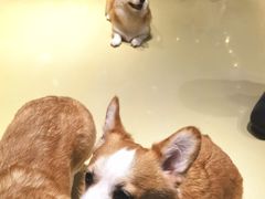 -INLANG饮浪室内冲浪(苏河湾万象天地店)