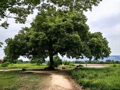 -良渚古城遗址公园