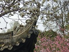 -窦圌山风景区