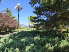 -滨河世纪广场公园